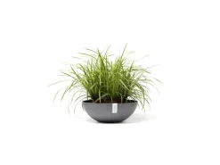 Ecopots Töpfe<Pflanztopf Vienna 50 cm x 18 cm Grau