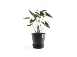New Ecopots Untersetzer Amsterdam Rollen 28,7 cm x 8,3 cm Dunkelgrau