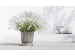 Ecopots Töpfe<Untersetzer Oslo Rollen Braungrau 50 cm x 10,5 cm Taupe