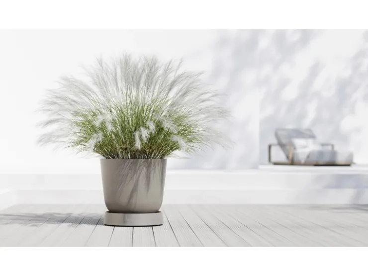 Ecopots Töpfe<Untersetzer Oslo Rollen Braungrau 50 cm x 10,5 cm Taupe