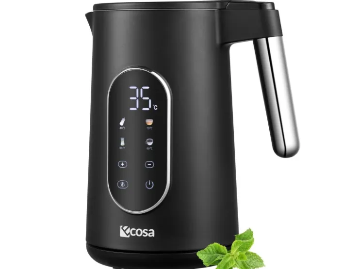 Online Ecosa EO-690 Wasserkocher mit Temperatureinstellung 1,7 L