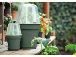 Best Anzuchttopf Green Basics Ø 27 cm Töpfe