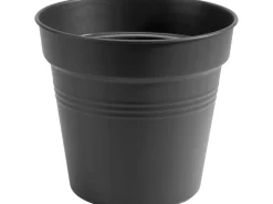 Outlet Elho Anzuchttopf Green Basics Ø 15 cm living Schwarz