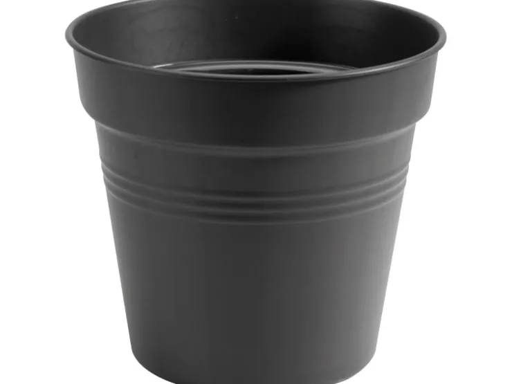 Outlet Elho Anzuchttopf Green Basics Ø 15 cm living Schwarz