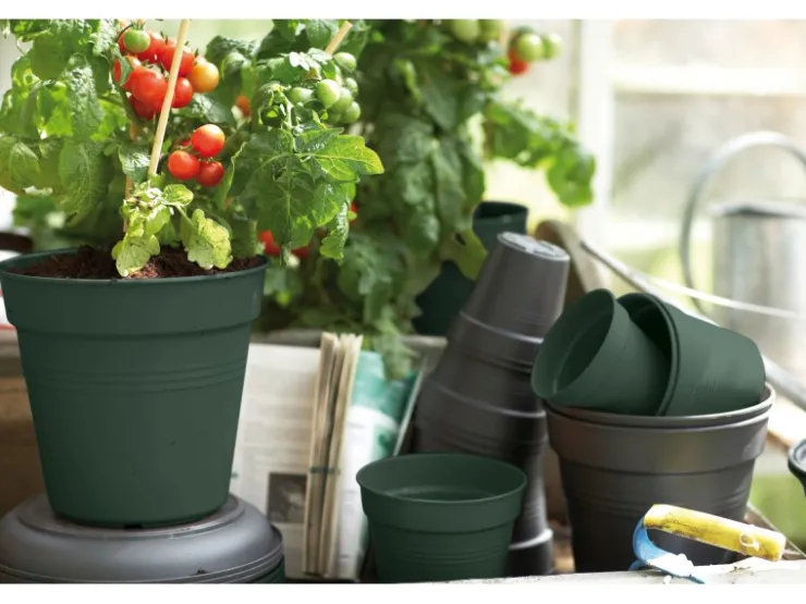 Clearance Elho Anzuchttopf Green Basics Ø 11 cm Laubgrün