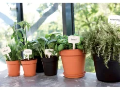 Discount Anzuchttopf Green Basics Ø 13 cm living Töpfe