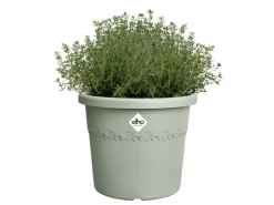 Elho Töpfe<Blumentopf Algarve Cilindro Ø 25 cm x 21 cm Grün