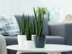 Sale Elho Blumentopf Brussels Rund Mini Ø 9,5 Weiß