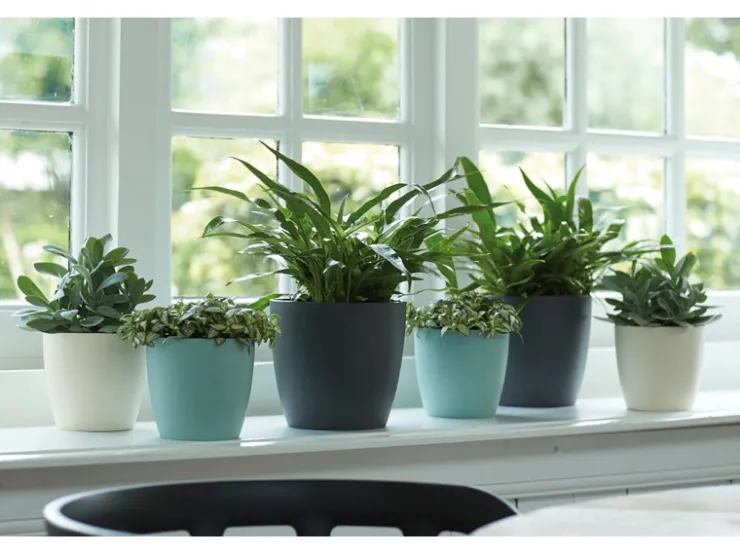 Elho Töpfe<Blumentopf Brussels Rund Ø 14 grün Mint