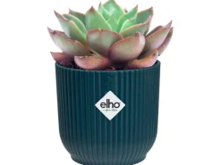 New Elho Blumentopf Mini Vibes  Ø11 cm Tiefes Blau