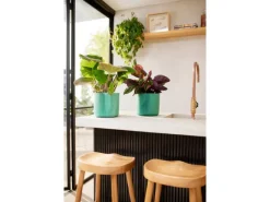Outlet Blumentopf Ocean Collection Ø 14 cm Töpfe