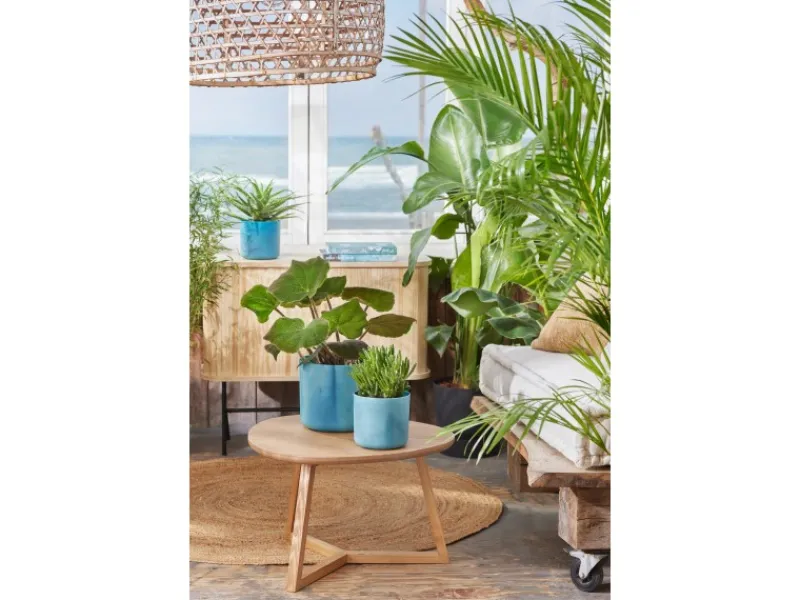 Outlet Blumentopf Ocean Collection Ø 14 cm Töpfe