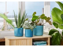 Outlet Blumentopf Ocean Collection Ø 14 cm Töpfe