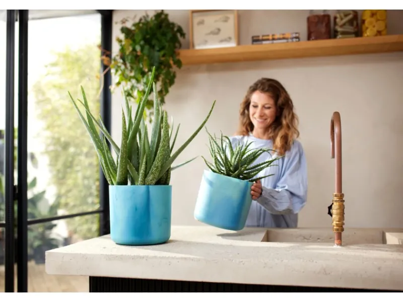 Outlet Blumentopf Ocean Collection Ø 14 cm Töpfe