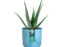 Best Blumentopf Ocean Collection Ø 18 cm Töpfe