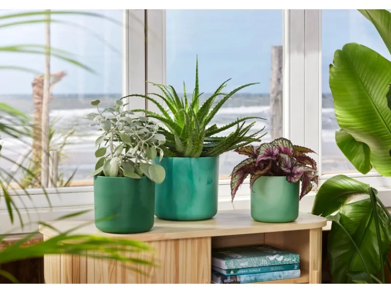 Best Blumentopf Ocean Collection Ø 18 cm Töpfe