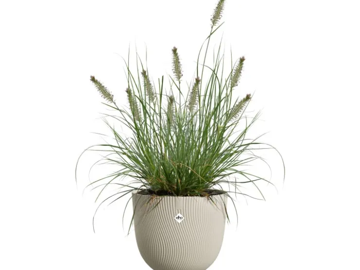 Elho Töpfe<Blumentopf Sereh Ø 30 cm x 25 cm Beige