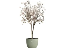 Elho Töpfe<Blumentopf Sereh Ø 47 cm x 40 cm Grün