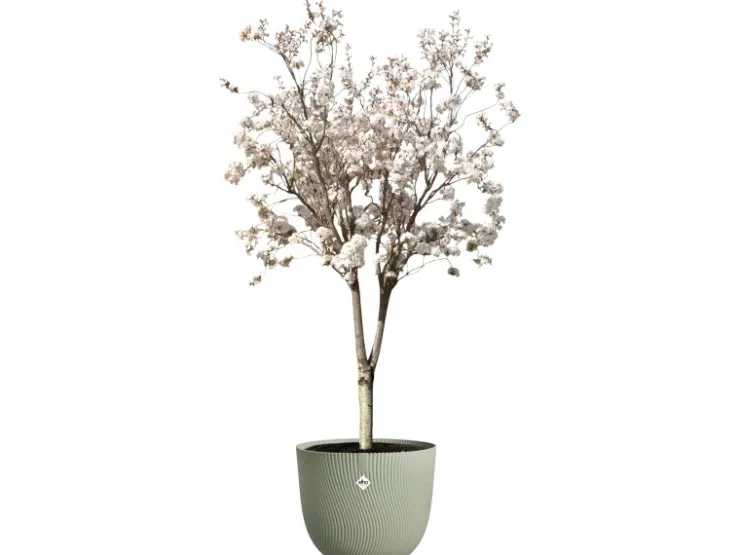 Elho Töpfe<Blumentopf Sereh Ø 47 cm x 40 cm Grün