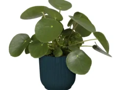 Clearance Elho Blumentopf Vibes Fold  Ø 30 cm Tiefes Blau