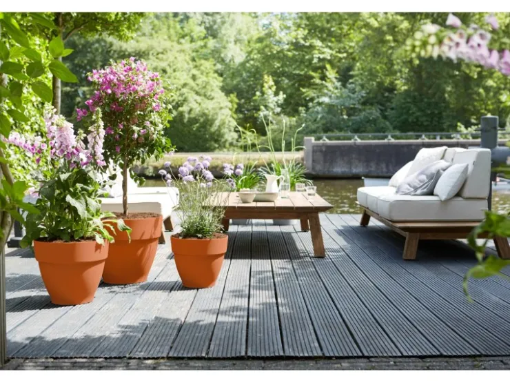 Sale Elho Blumentopf Vibia Campana Ø 25 cm x 21 cm Terra Terrakota