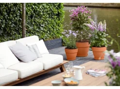 Sale Elho Blumentopf Vibia Campana Ø 25 cm x 21 cm Terra Terrakota