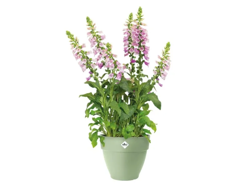 Clearance Pflanzentopf Vibia Campana Ø 47 cm x 40 cm Pistaziengrün Töpfe