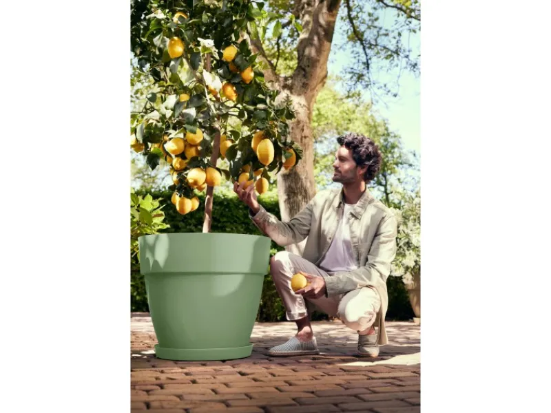 Clearance Pflanzentopf Vibia Campana Ø 47 cm x 40 cm Pistaziengrün Töpfe