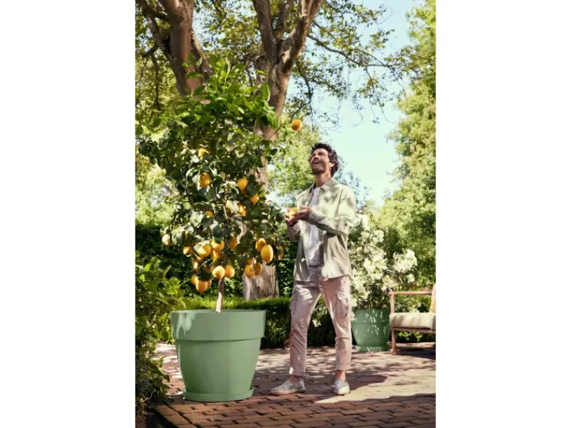 Clearance Pflanzentopf Vibia Campana Ø 47 cm x 40 cm Pistaziengrün Töpfe