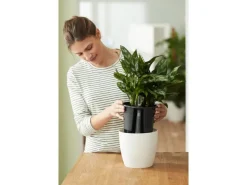 Clearance Elho Selbstbewässerungs-System Ø 33 cm x 30 cm Schwarz