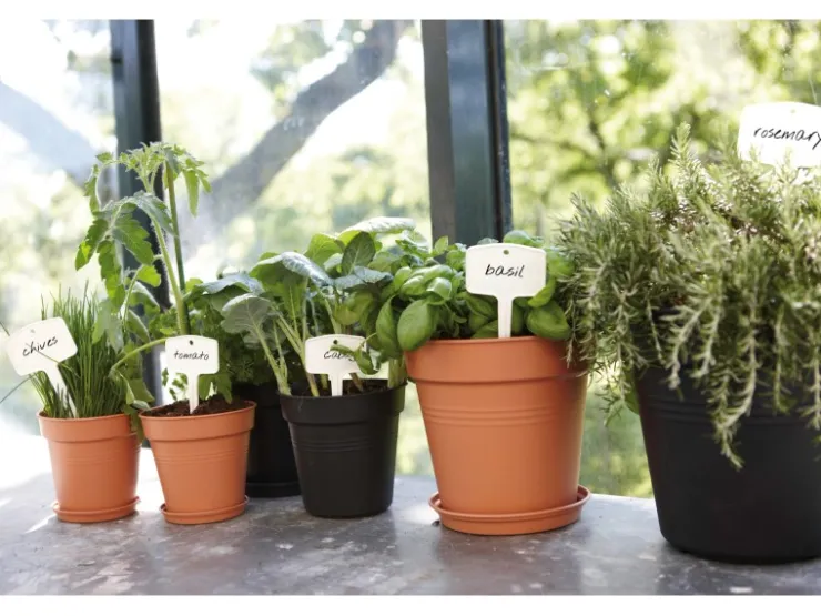Sale Elho Untersetzer Green Basics Ø 17 cm living Schwarz