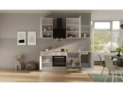 Flex-Well Exclusiv Einbauküchen<Küchenzeile 1701-017 Lund 220 cm Lichtgrau glänzend-Rauchgrau
