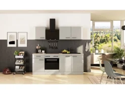 Online Flex-Well Exclusiv Küche 1601-005sWs Lund 210cm Lichtgrau glänzend -Rauchgrau