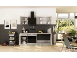 Online Flex-Well Exclusiv Küche 1601-005sWs Lund 210cm Lichtgrau glänzend -Rauchgrau