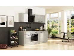 Online Flex-Well Exclusiv Küche 1601-005sWs Lund 210cm Lichtgrau glänzend -Rauchgrau