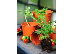 Best Anzuchttopf Ø 27 cm Terrakotta Töpfe
