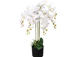 Best Künstliche Orchidee mit Topf 75 cm Weiß Töpfe