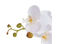 Best Künstliche Orchidee mit Topf 75 cm Weiß Töpfe