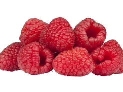 New GROW by OBI Bio Himbeere "TwoTimer® -Sugana®" Rot Höhe ca. 20-30 cm Topf ca. 2 l