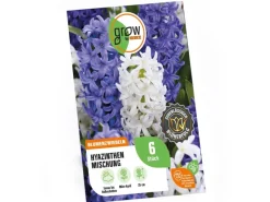 Hyazinthen Mischung 6 Stück Hyacinthus Mix Töpfe