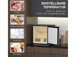 Outlet HOMCOM Mini Gefrierschrank Stahl Kunststoff Silber 47L x 44,2B x 48,8H cm