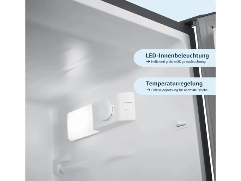 Discount Kühlschrank Mit Gefrierfach Kühl-Gefrierkombination Freistehend 173 Liter Nutzinhalt CFS1110-S Silber Kühlschränke