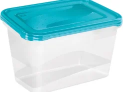 Best Frischhaltedose Fredo Fresh Transparent-Blau 2 x 2 l Vorratsbehälter|Vorratsdosen