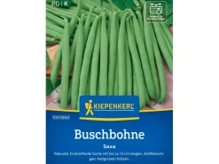 Best Kiepenkerl Buschbohne "Saxa"