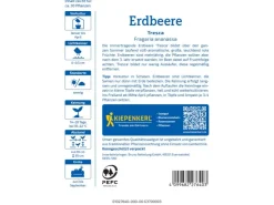 Best Kiepenkerl Erdbeeren Fresca
