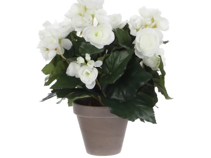 Best Mica Decorations Kunstblume Begonia Weiß Topf-Ø 11,5 cm H 30 cm, Ø: 25 cm