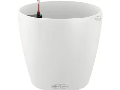 Discount ® Pflanzgefäß Classico Color 35 Ø 35 cm Töpfe