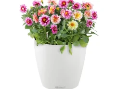 Lechuza Töpfe<® Pflanzgefäß Classico Color 18 Ø 18 cm Weiß