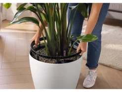 Lechuza Töpfe<® Pflanzgefäß Classico Color Ls 43 Ø 43 cm Weiß