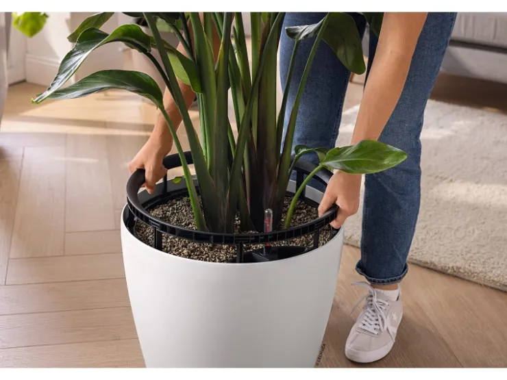 Lechuza Töpfe<® Pflanzgefäß Classico Color Ls 43 Ø 43 cm Weiß